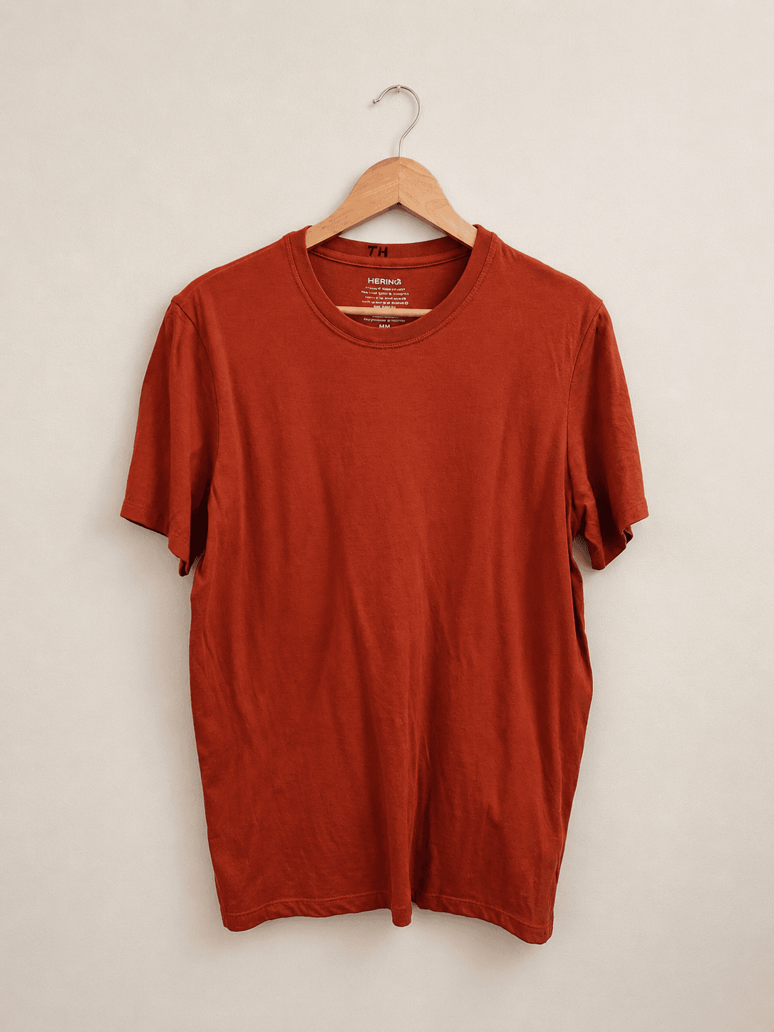 Camiseta lisa